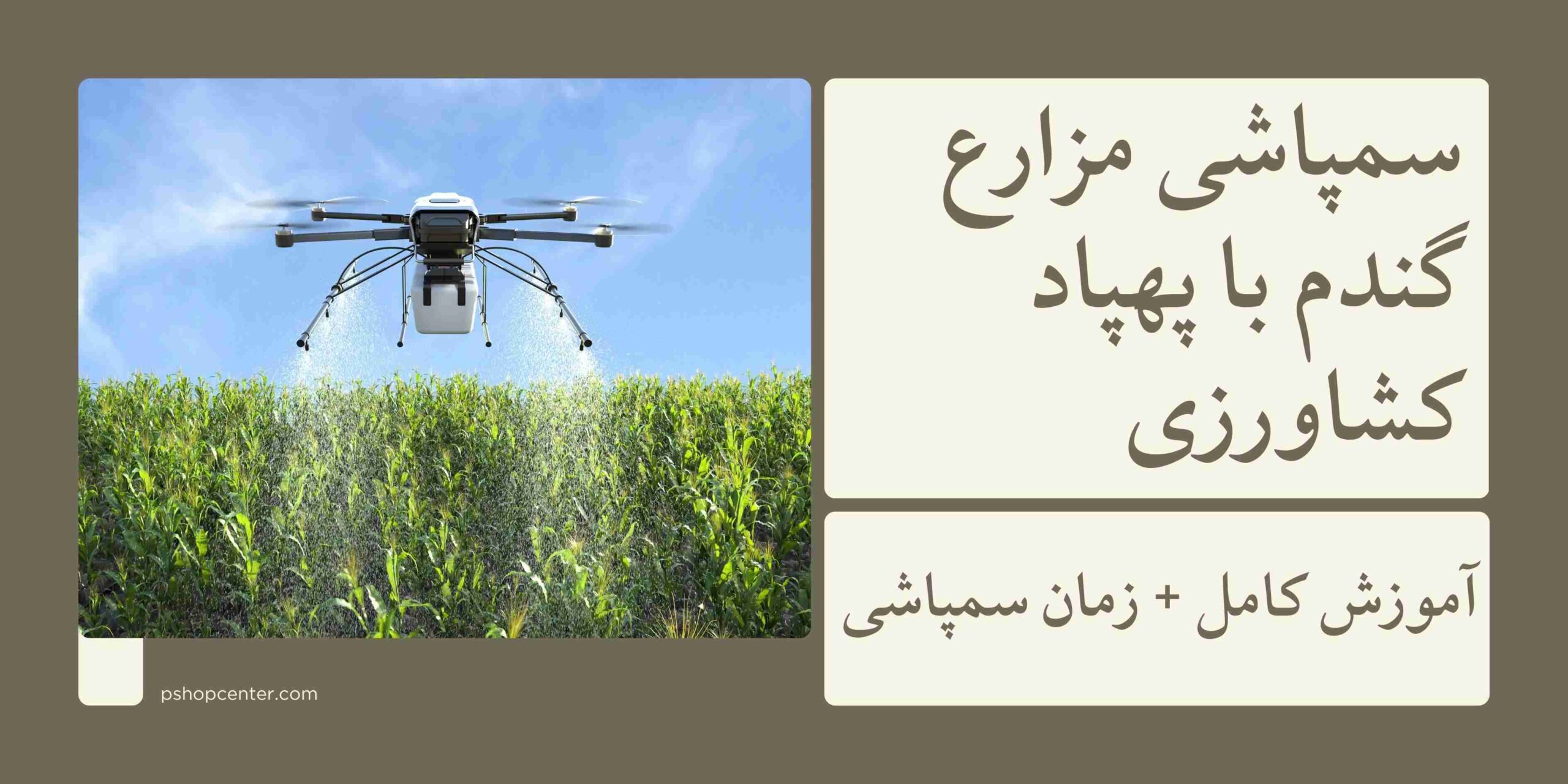 سمپاشی مزارع گندم با پهپاد